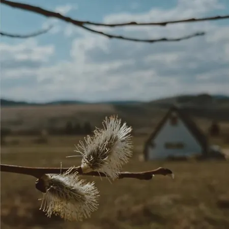 Ninina Koliba-vikendica Manjaca Vakantiehuis Hiseti